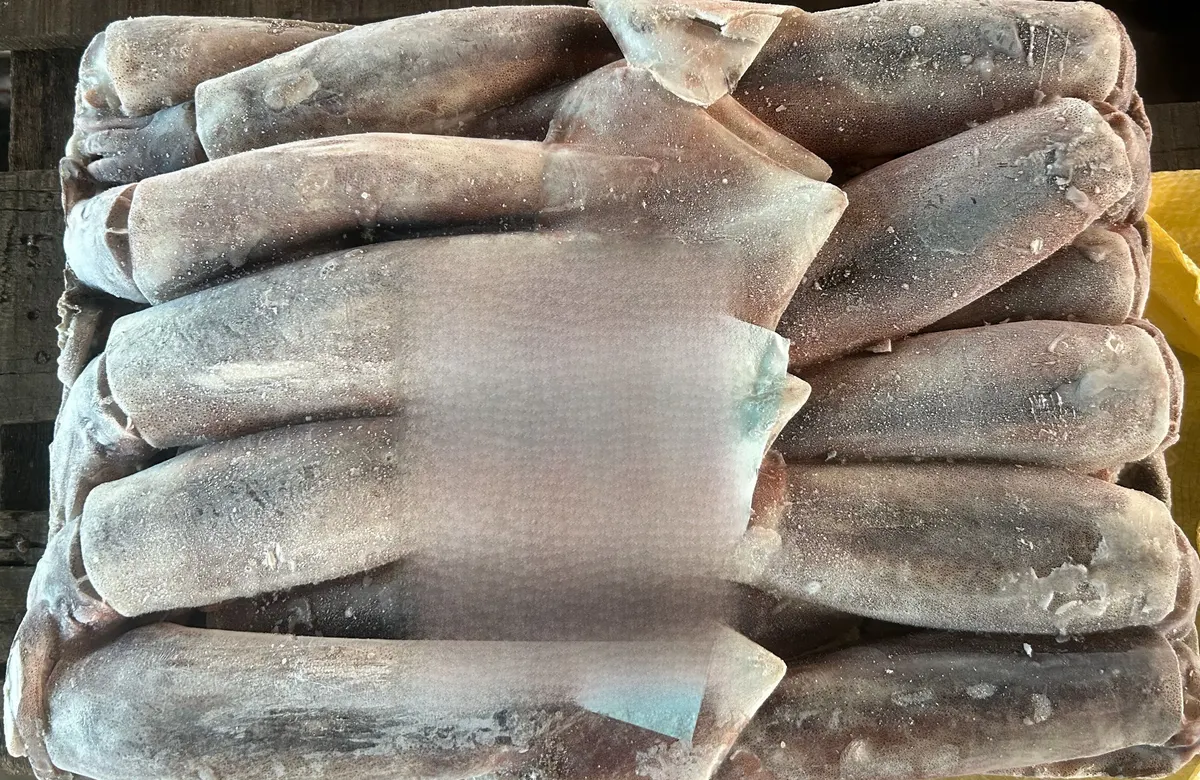 阿根廷魷魚・L 1/8