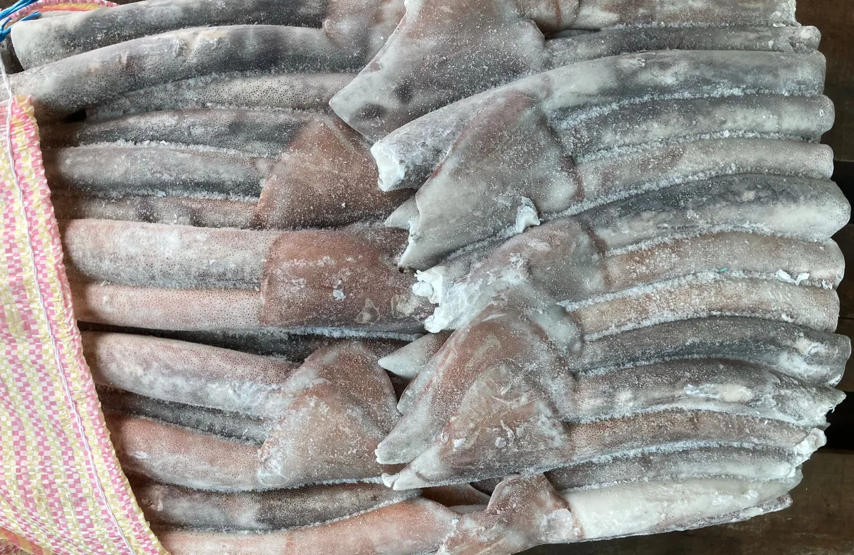 阿根廷魷魚・L 1/5